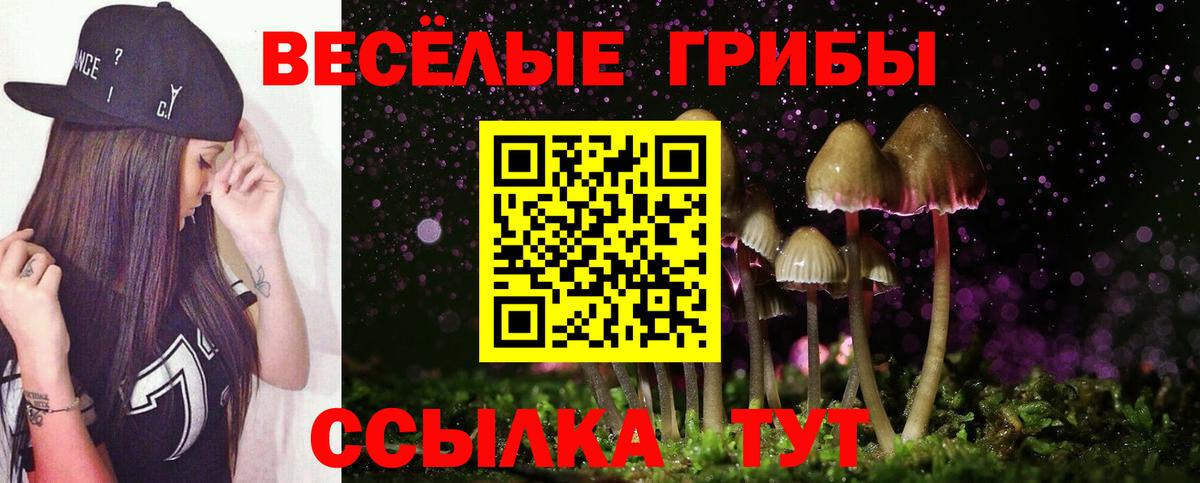 Псилоцибиновые грибы Magic Shrooms  Вход с VPN  Иваново  Псилоцибиновые грибы MAGIC MUSHROOMS 